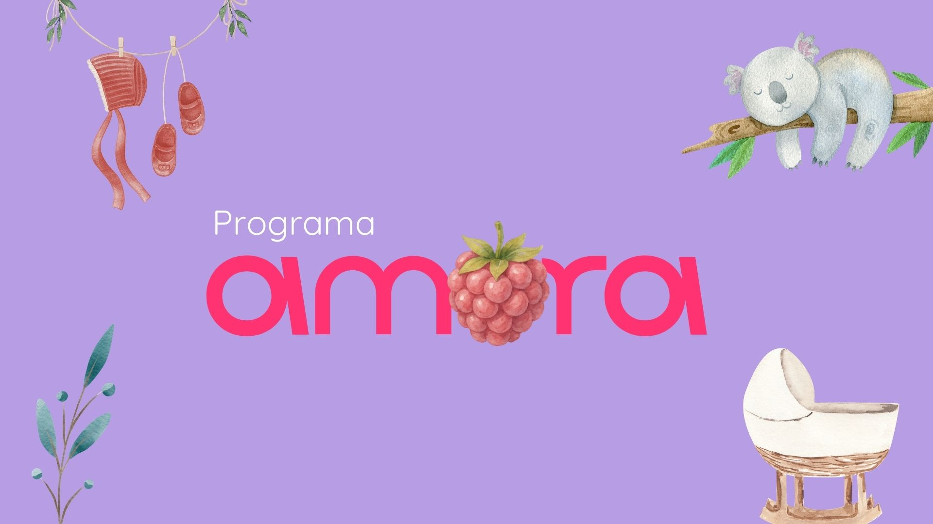 Programa Amora